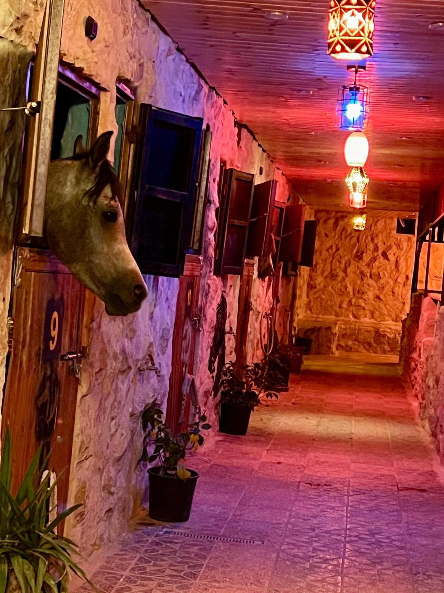 Petra Royal Ranch Bed and Breakfast Ουάντι Μούσα Εξωτερικό φωτογραφία