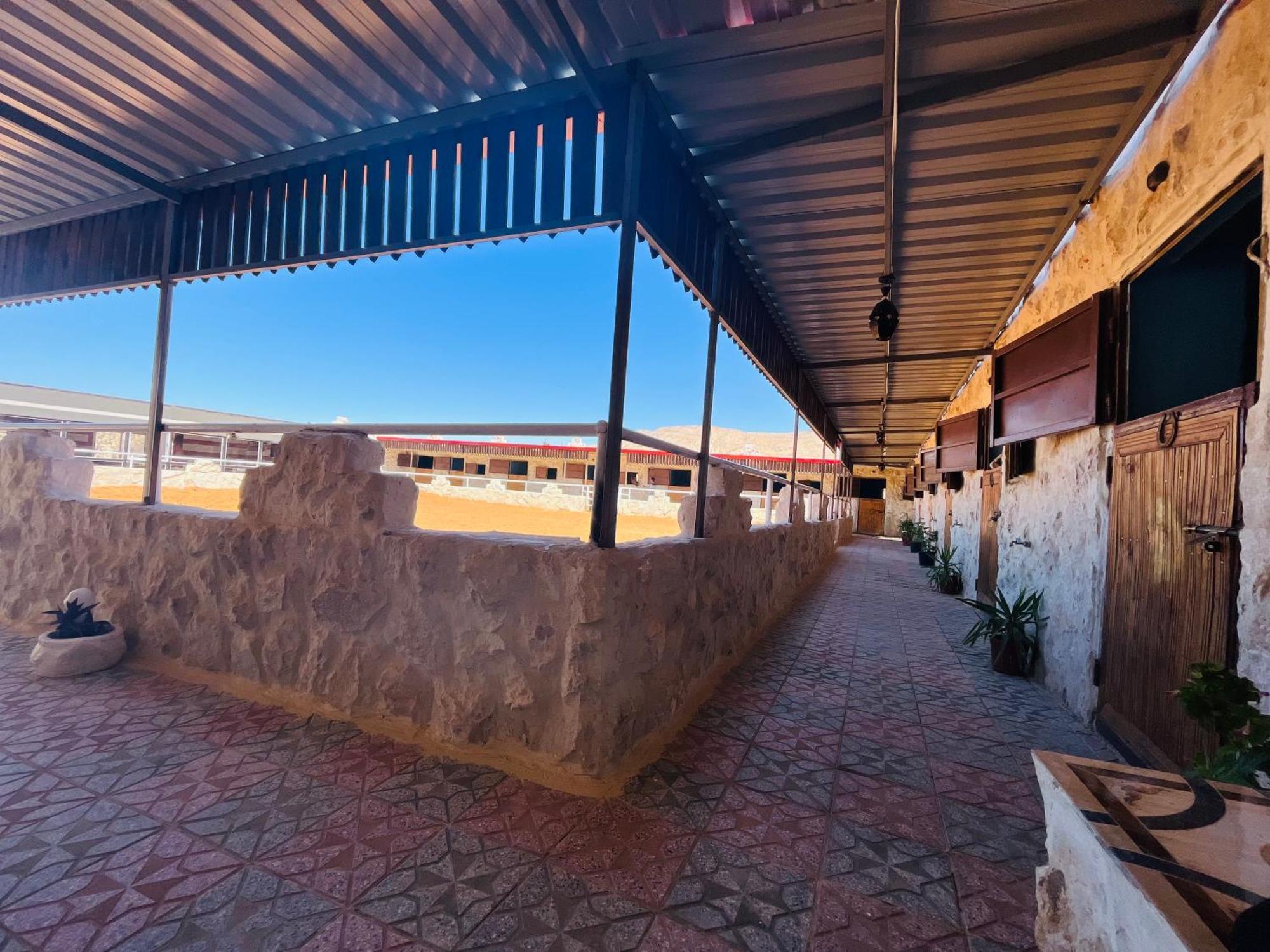 Petra Royal Ranch Bed and Breakfast Ουάντι Μούσα Εξωτερικό φωτογραφία