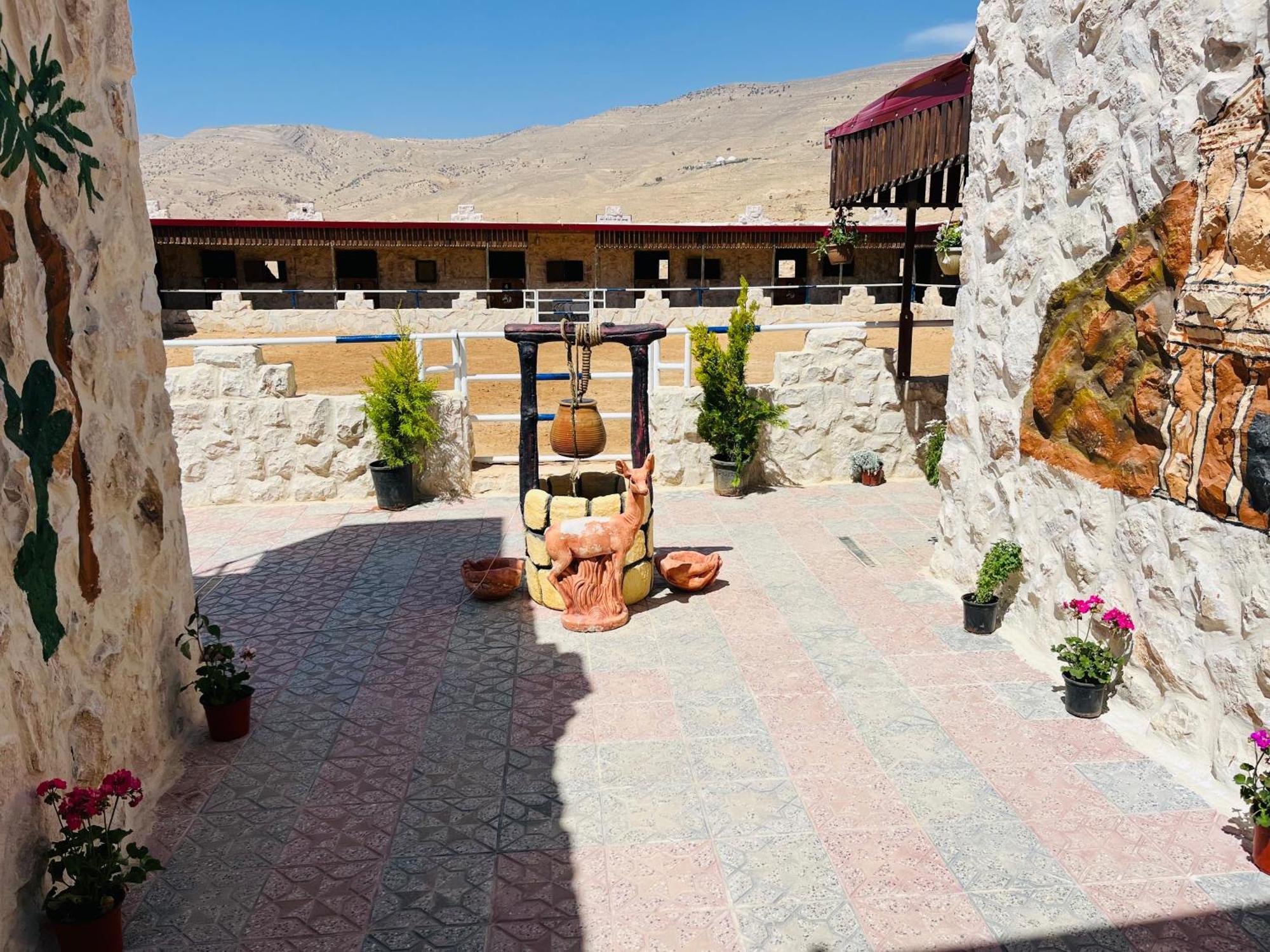 Petra Royal Ranch Bed and Breakfast Ουάντι Μούσα Εξωτερικό φωτογραφία